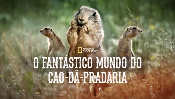 thumbnail - O Fantástico Mundo do Cão-da-Pradaria