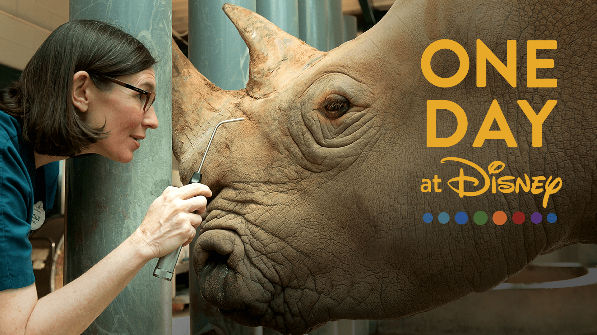 Watch Magic Of Disney S Animal Kingdom ディズニー アニマルキングダムの魔法 Disney