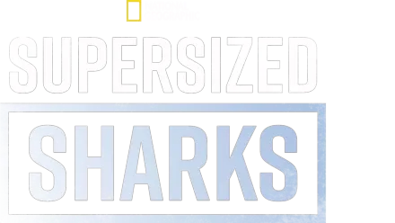 Supersized Sharks