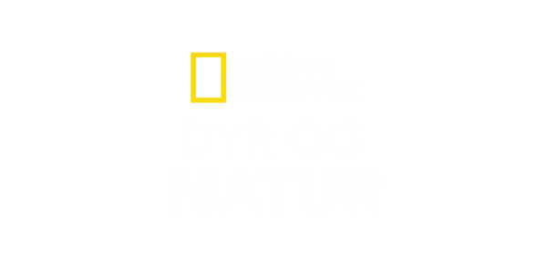 National Geographic Dyr og natur Title Art Image