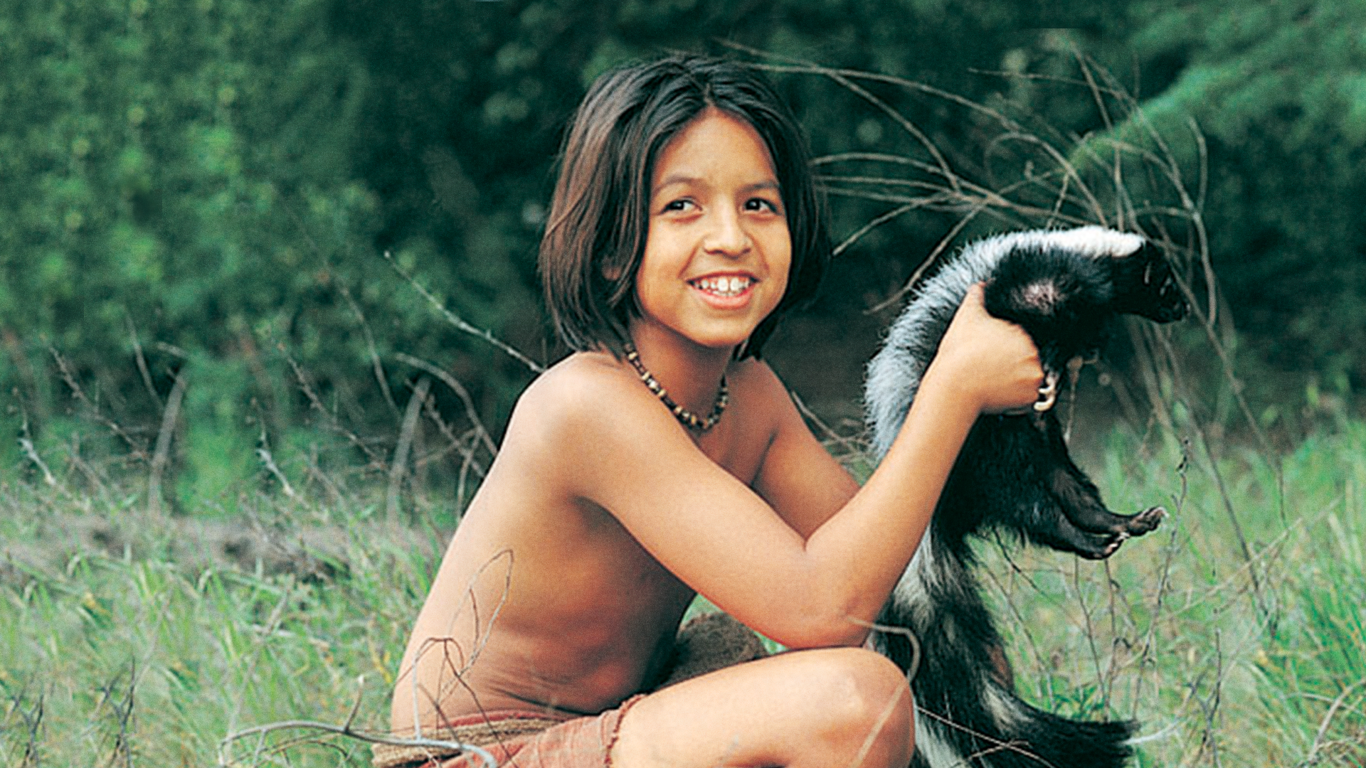 O Livro da Selva: A História de Mogli