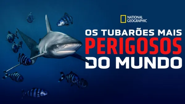 thumbnail - Os Tubarões Mais Perigosos do Mundo